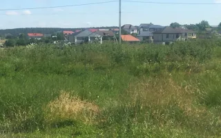 Участок, 9.82 сот, Поселения (ИЖС)